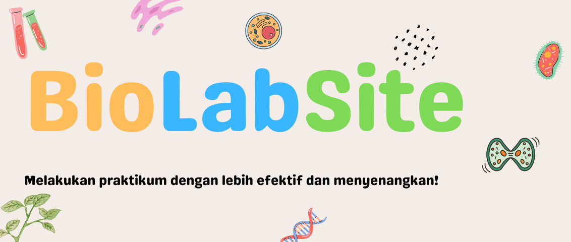 Header-1